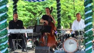 Wish You Were Here - The Markus Minarik Trio