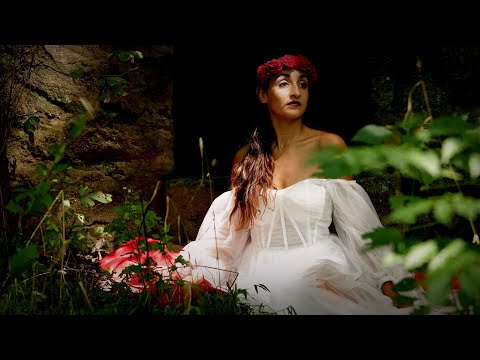 BlauDisS x whikerms - The Shadows We Left Behind (Official Music Video)