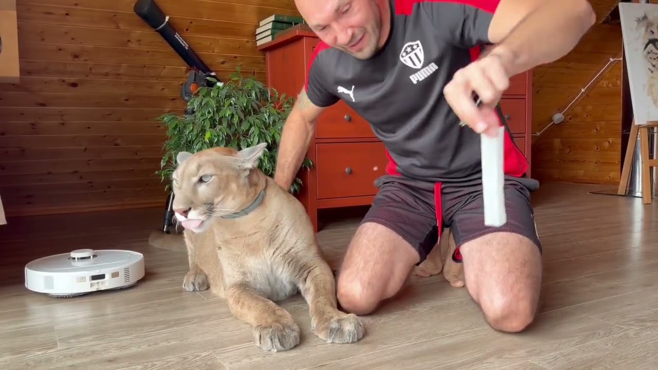 Фокус который пума Месси срубил на корню🤣 Видкли этот тренд?