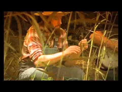 Picksiebner - Srebrno vreteno