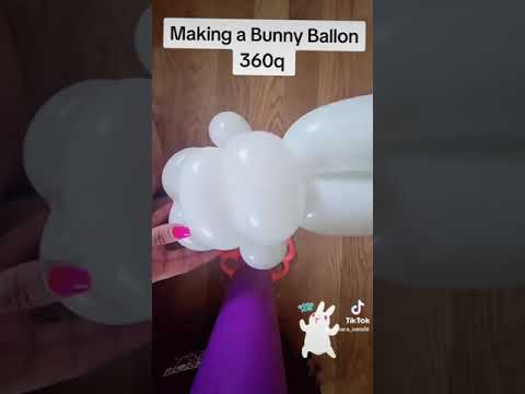 Promotional video thumbnail 2 for Balloon Twister of Wichita