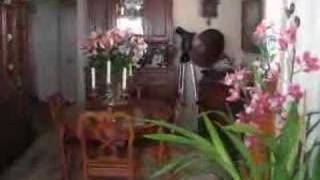 Mason & Hamlin AMPICO plays Ave Maria Bach-Gounad, Chenoweth