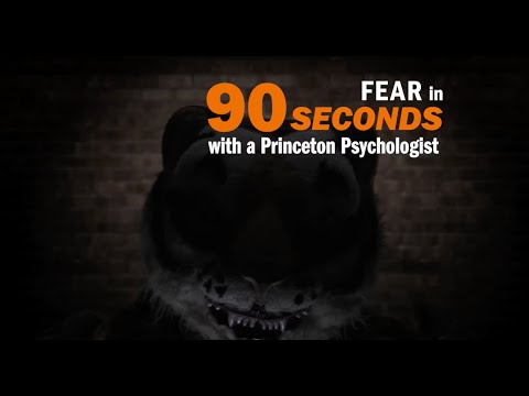 Fear explained in 90 seconds