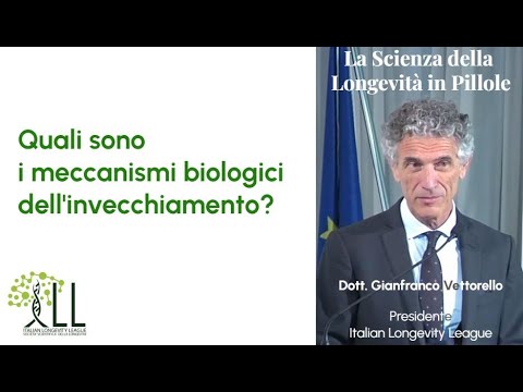 Gianfranco Vettorello-6