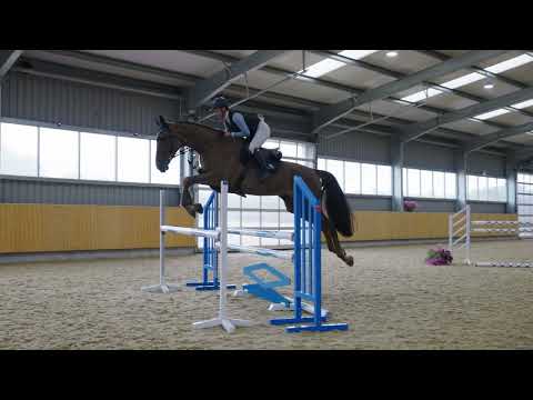 wkd zeus jumping