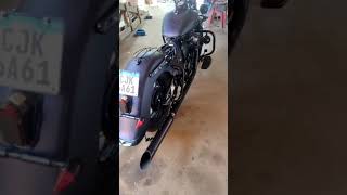 Honda Shadow 600 Chicana/Vicla