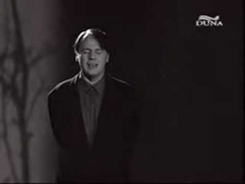 Vörösmarty Mihály:  A vén cigány