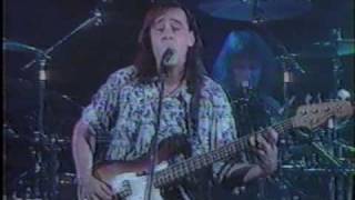 Northern Pikes - Wait for Me (Live 1990)
