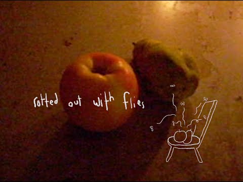 Rotted Out With Flies - Kevin Atwater