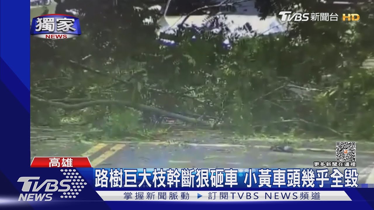 無風無雨!路樹枝幹突斷狠砸小黃 司機控不賠營業損失