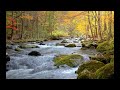 Adyashanti: a useful hint when "I can't really allow everything to just be"