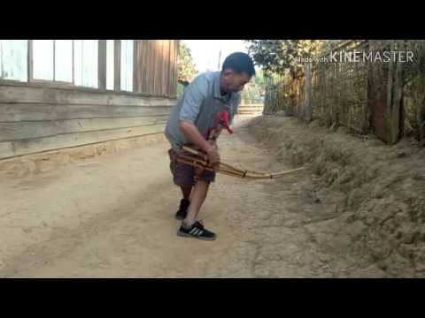 qeej ntsuag ib tag mo thaum yuav kaj ntug 2020