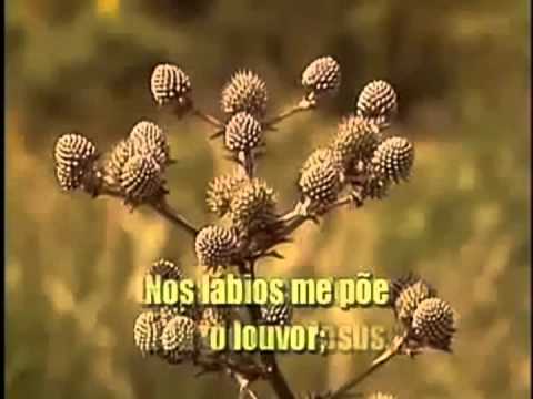 Abrigo na Rocha, Hinario Adventista  Nº 374