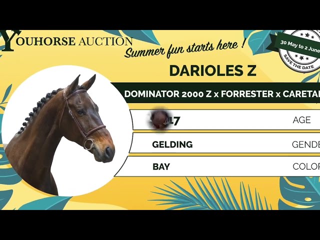 Darioles flatwork