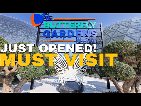 🔴Inside Butterfly Gardens Abu Dhabi at Al Qana | Must-Visit Attraction