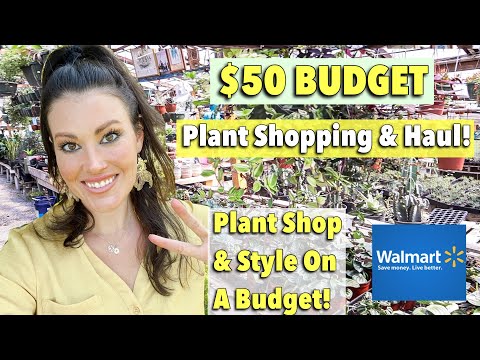 , title : '$50 Budget Plant Shopping & Plant Haul - Walmart & Malone's - Big Box Plant Shop With Me Charlotte'