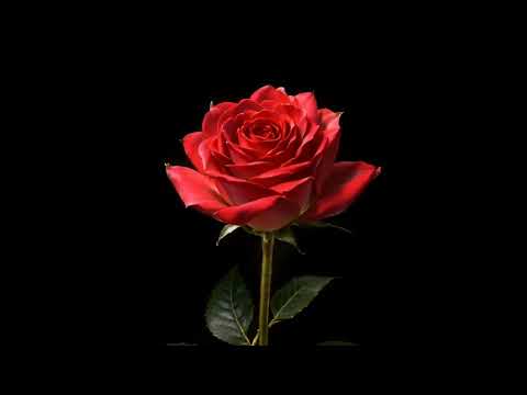 Hillzy - MARUVA (prod. by Beatsmith)