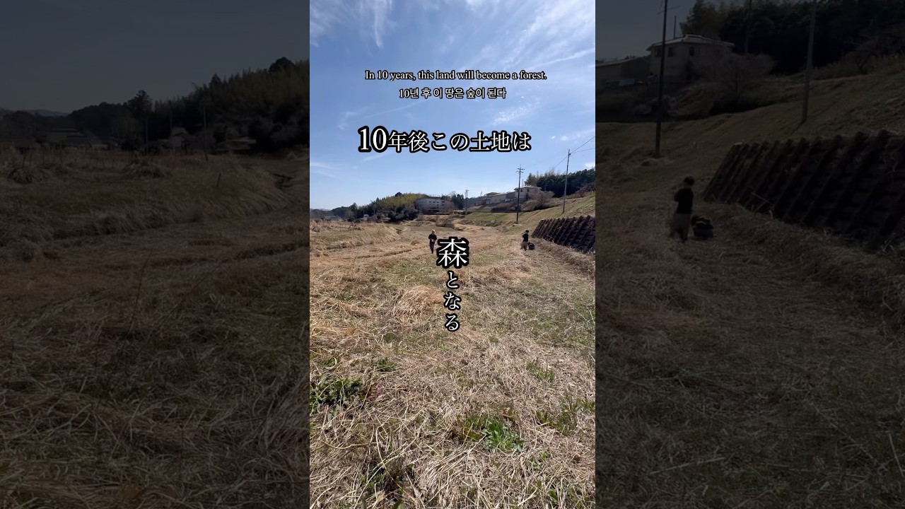 アナスタシア一族の土地、半分を森に還すことで多大な恩恵を受ける、自然との共存で受ける無償の愛をは無限大