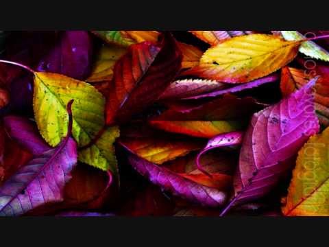 Video thumbnail for Nada Es Para Siempre (Don Candiani Reggaeton Remix)