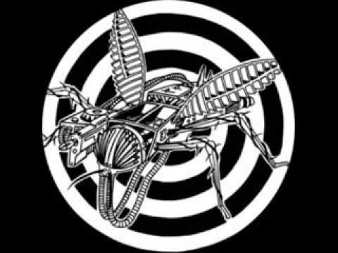 Vandal and The Dsc - No Time To Gaze