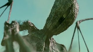 Southbound (2015) Explained In Hindi | Fantasy video