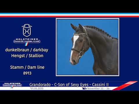 Holsteiner Körlot 2023 | Nr. 47  Gionello