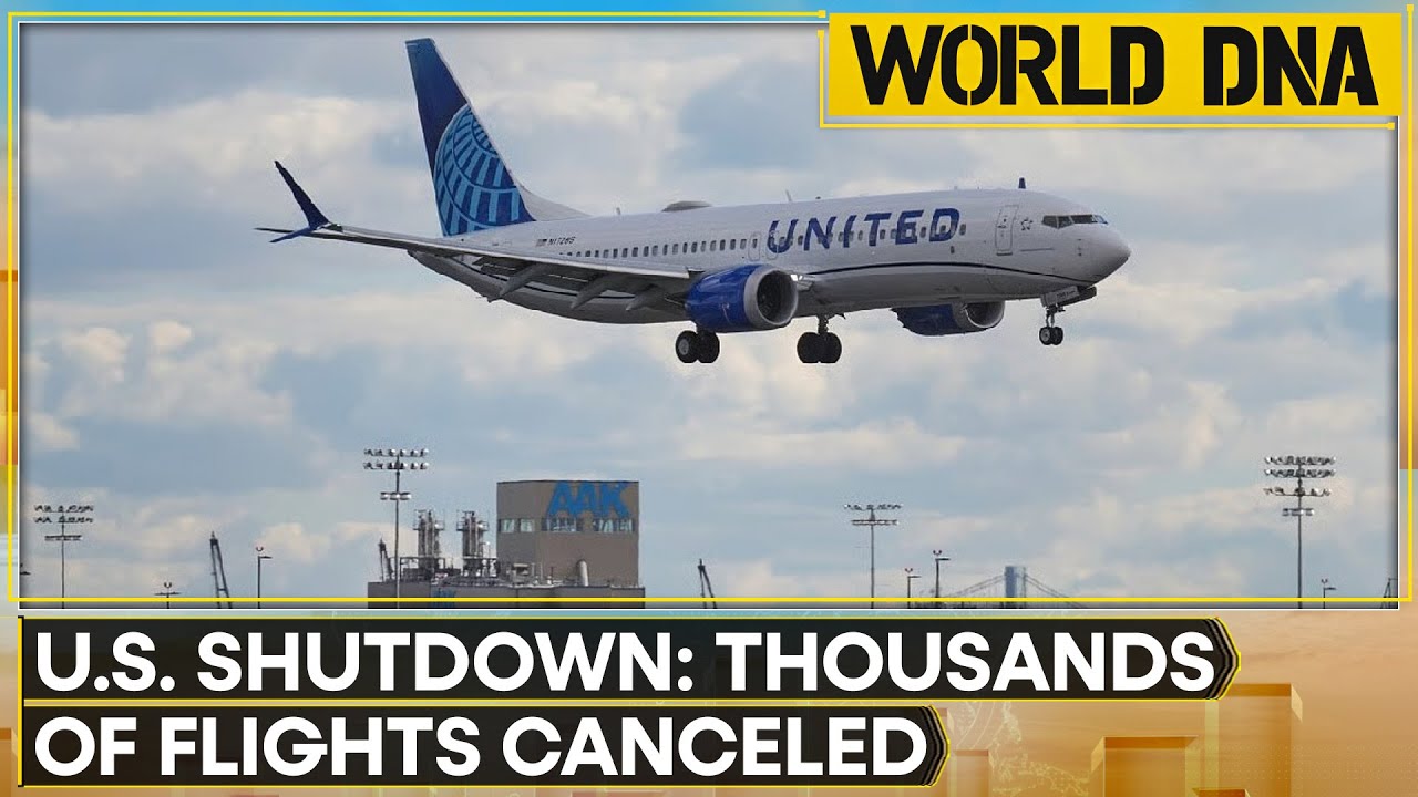 US Shutdown: Thousands of Flights Canceled |Syria Raids ISIS Ahead of Al Sharaa-Trump Meet |DNA LIVE