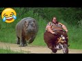TRY NOT TO LAUGH 😆 Best Funny Videos Compilation 😂😁😆 Memes PART 2
