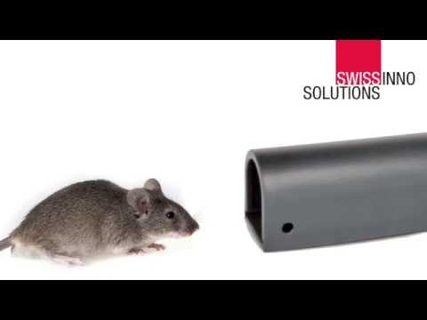 Mousetrap No See No Touch - NSNT Pos Film EN 03