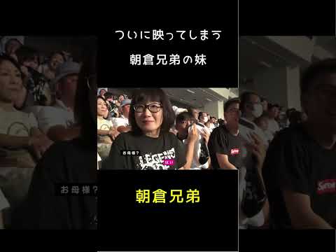 ついに映ってしまう朝倉兄弟の妹 #shorts #rizin #朝倉未来 #朝倉海