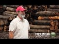 My Farm, My Story: Steve Bailey