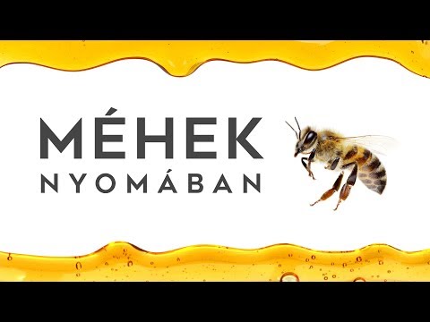 méhek visszér)
