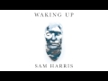 Waking Up with Sam Harris - Looking for the Self (26 Minute Meditation)