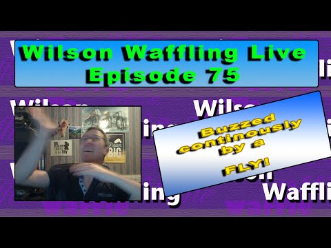 WafflingWilson’s Video 138711958432 CN-llDeywYw