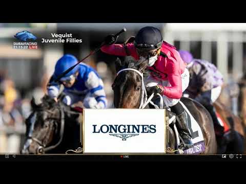 Breeders´ Cup 2020, Day 2