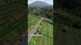 Download lagu pemandangan alam sawah dan gunung diiringi dengan music Sunda #alam #sawah #gunung #keindahanalam mp3