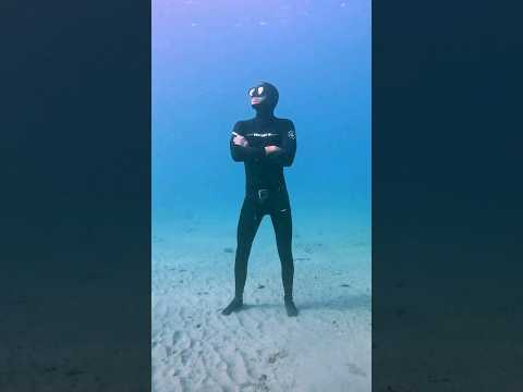 Freediving on the bottom of the ocean 🧜‍♂️💙 #freediving #holdyourbreath #laut #onebreath #beuchat