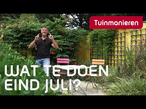 Wat te doen eind juli, in de tuin?