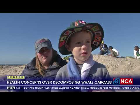Nelson Mandela Bay Beaches Health concerns over decomposing whale carcass