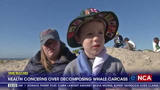 Nelson Mandela Bay Beaches | Health concerns over decomposing whale carcass