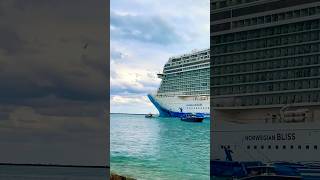 Norwegian Bliss 🛳️⚓️ #like #share #comment #subscribe #cruiseship #cruise #vacation #shorts #short