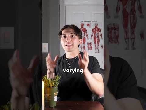 Does Evolution Contradict the Bible?