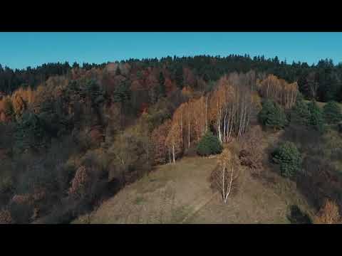 Działka, Nieruchomość, Las - Bezmiechowa Dolna