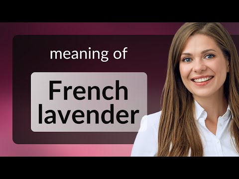 Understanding "French Lavender" - A Fragrant Journey in Language Learning