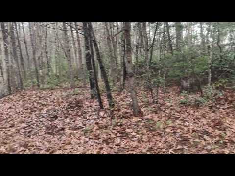 trailhead parking lot