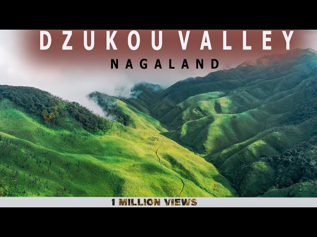 Wymowa wideo od valley na Angielski