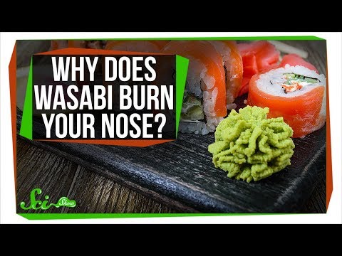 3rd YouTube video about how hot is wasabi