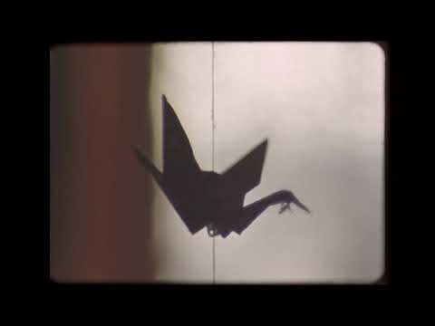 Náhled pro video reference