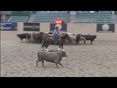 Outreygous Diamond Shown by Nick Dowers - 2021 Snaffle Bit Futurity (Open Herd)