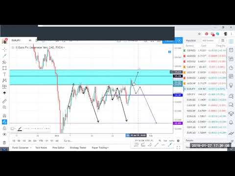 WEEKLY FOREX MARKET OUTLOOK 27/01/2019